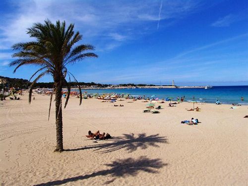 Panoramic